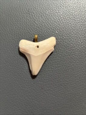 Natural Fossil Shark Tooth, Stone Arrowhead and Stone Pendants